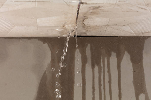 Professional Water Damage Repair technician working in Hillsborough, NH